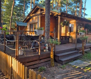 gmina Karsin Resort | Dzik w zagrodzie