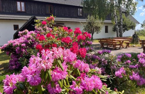 Dziemiany House | Dzika Zagroda