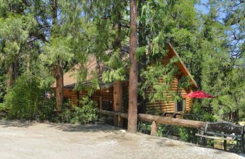 Idyllwild House | Eagles Nest - Natural Log Cabin with Guest House
