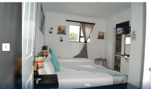 Kokstad Bed & Breakfast | East griqualand Accomodation and Conference