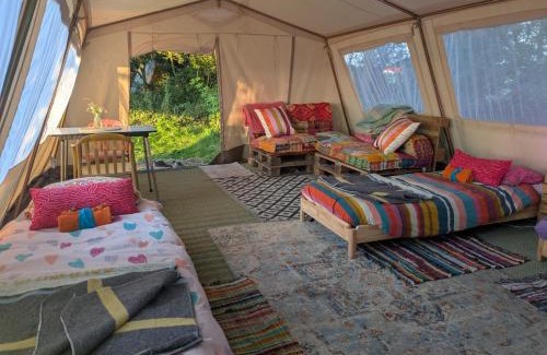 Oosterpoortwijk Other | Eco-Camping De Helleborus, Yurt, Bell & Safari tent, Pipo, Caravans, Dorms and Units
