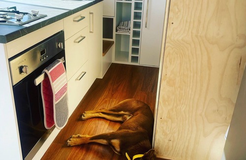 Portland Cabin | Eco-friendly Farmstay Sugarloaf