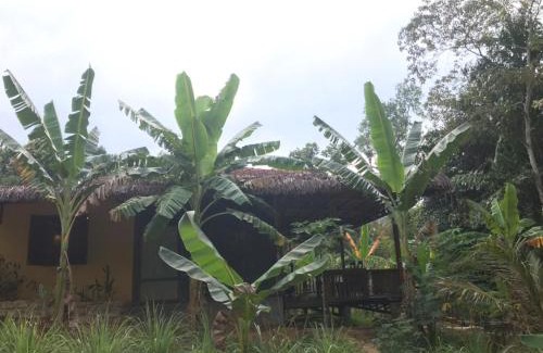 Cua Can Village Cabin | Eco Lagoon Countryside Art Retreat