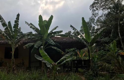 Cua Can Village Cabin | Eco Lagoon Countryside Art Retreat