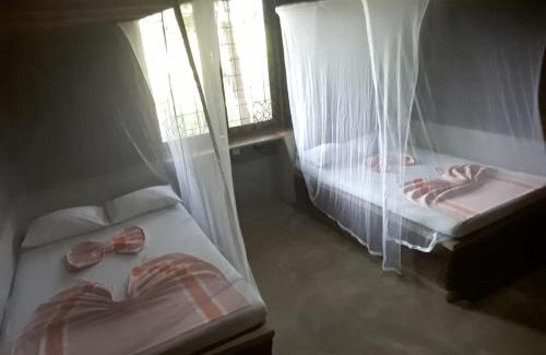 Hingurakgoda Other | Eco Lodge Safari