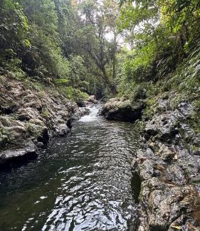 Samana Hotel | ECOHOTEL MONTEBELLO Norcasia Caldas