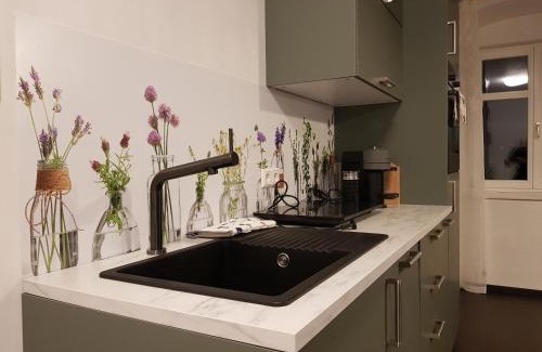 Ochsenhausen Apartment | Ehemalige Klosterschmiede -Wirtschaftswunder-
