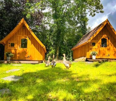 Ulmen House | Eifelhüttchen Rotkehlchen