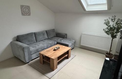 Sandhausen Apartment | Eigentumswohnung in direkter Waldrandlage von Sandhausen - keine Handwerkerunterkunft!