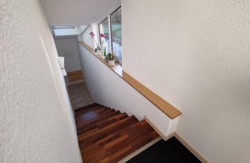 Weingarten Apartment | Einzelnwohnung mit eigenem Eingang
