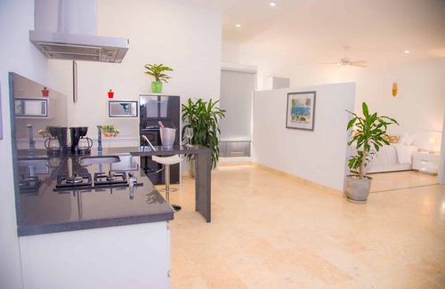 Barrio Centro Apartment | El Cactus Luxury Apartments in Historic Center