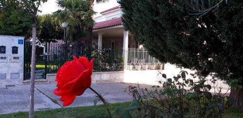 Tordesillas House | El olivo