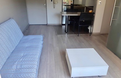 Downtown Santiago Apartment | El placer de una estadia unica