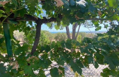 Vilanova I la Geltru House | Elga Carob Holidays House by HLCLUB Agency