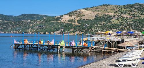 Ayvacik Hotel | Elisa Butik Hotel ve Restaurant