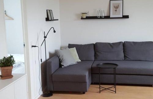 Odense SV Apartment | Elleholm