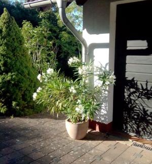 Idar-Oberstein Apartment | Ellis Garden