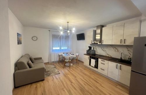 Pecica Apartment | Emanuela Apartments
