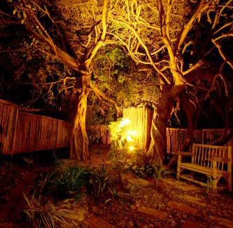 Hluhluwe Cabin | Emdoneni Lodge with Zululand Cat Conservation Project
