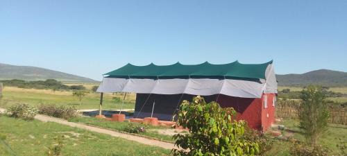 Maasai Mara Resort | Endeem Mara Resort