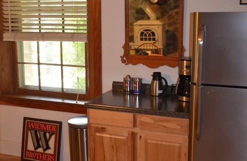 Charlottesville Apartment | Enderly - c1859 - English Basement Apartment