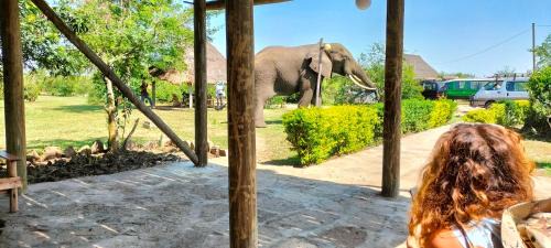 Kasese Other | Engiri Game Lodge and Campsite