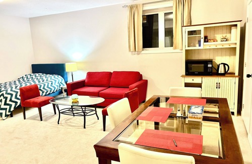 Ottawa Division House | Entire basement with large windows, private full bathroom and office
