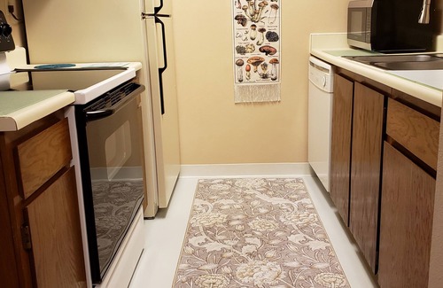 Sable Altura Chambers Condo | Entire Condo - Near DIA/Anschutz - Quiet End-Unit, In-Unit Washer/Dryer!