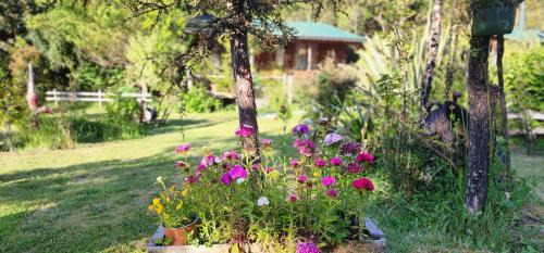 Hornopiren National Park House | Entre Esteros Hornopiren