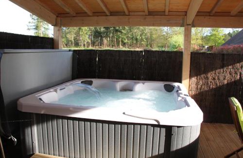 Tour-en-Sologne House | ENTRE LOIRE ET CHER "Le Sologn'Eau" Gîte & SPA Privatif