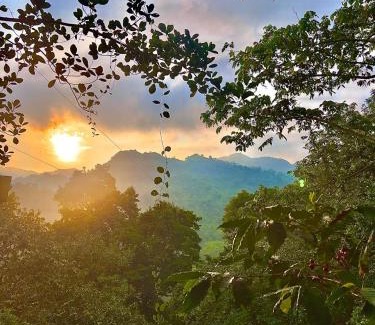 Vergara Other | Entremonte Cabañas