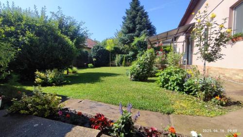 Gyula Apartment | ENZO Apartman Gyula