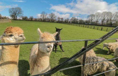 North York Moors National Park House | Erica's 'eaven