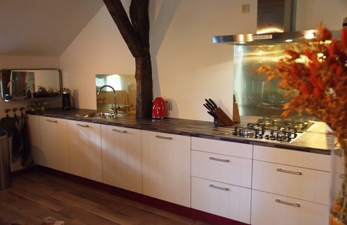 Jipsinghuizen Apartment | Erve Leusingh - Luxuriously furnished Apartment - Unobstructed view over the nature reserve.