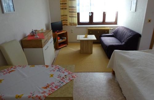 Neuhausen Apartment | Erzgebirgsdomizil am Schwartenberg