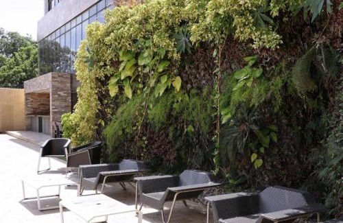Coro Hotel | Eurobuilding Hotel & Suites Coro