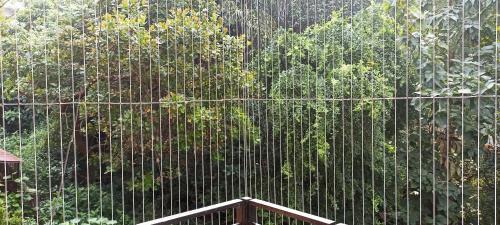 Palolem Apartment | Eutierria Living