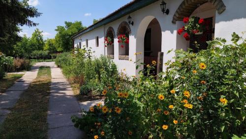 Vojvodina House | EVA HOUSE