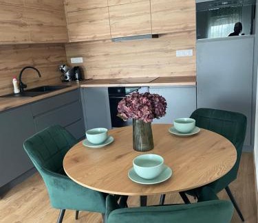 Pusztavacs Apartment | Evergreen Apartment Szeged