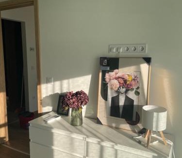 Pusztavacs Apartment | Evergreen Apartment Szeged