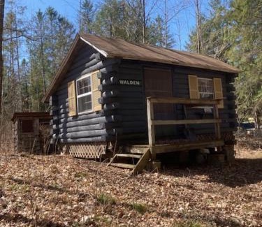 Bryant Other | Evergreen Outpost