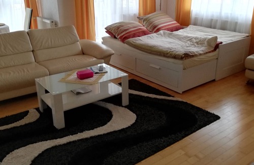 Bietigheim-Bissingen Apartment | Exclusive living with fireplace