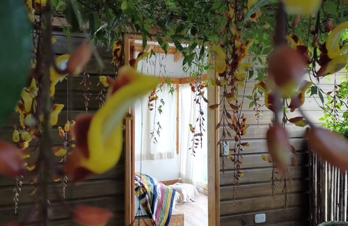 Pasajcap Cabin | Exclusive lakefront cabin with luxury outdoor shower