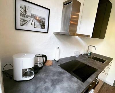 Alte Neustadt Apartment | EXKLUSIVES Loft an der Weserpromenade und Stadt