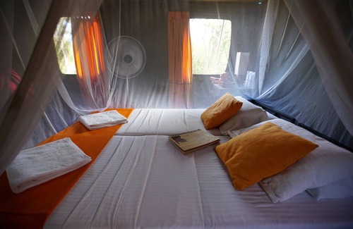 Lahugala Other | Explorer by Eco Team - Kumana National Park