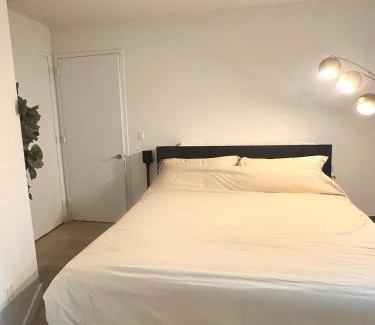 Financial District Apartment | Exquisite Urban Oasis: Luxury 1 Bedroom Retreat in Downtown Manhattan