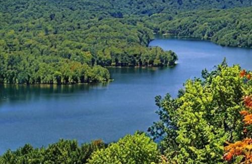 Shenandoah Apartment | Extended Stay ✫ Geisinger ✫ Danville ✫ St Lukes