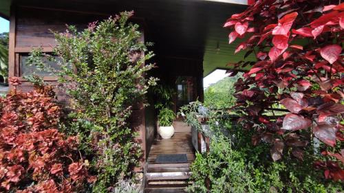 Rio Nuevo Cabin | EYA Ecolodge