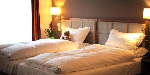 Ebikon Hotel | Falken am Rotsee