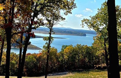 Oakland Other | Falling Stars at Bull Shoals Lake